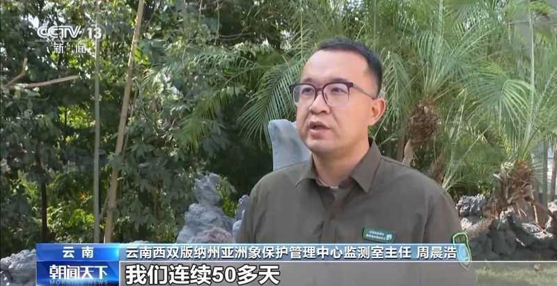 特别“家庭旅行团”亮相 我国野生动植物保护交出亮眼答卷