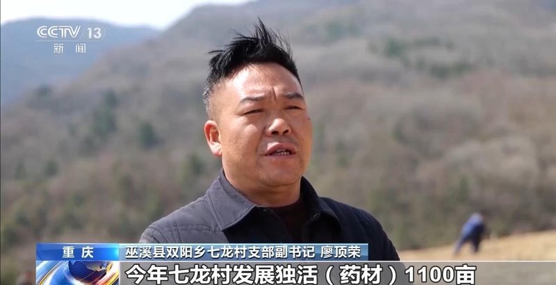  农耕智慧进阶：解码清明气候与高产栽培的深度关联 企业服务