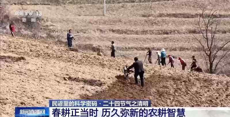 农耕智慧进阶：解码清明气候与高产栽培的深度关联 企业服务