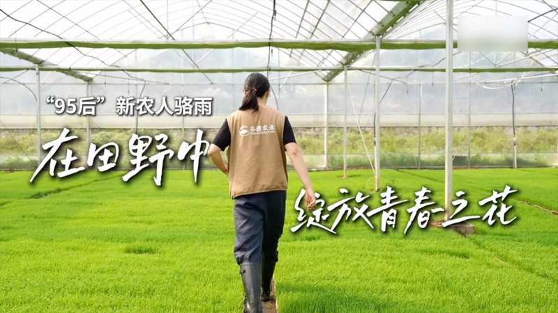 当年轻人走向田野:那些被土地治愈的选择与坚守 文化旅游 当年轻人走向田野:那些被土地治愈的选择与坚守 文化旅游