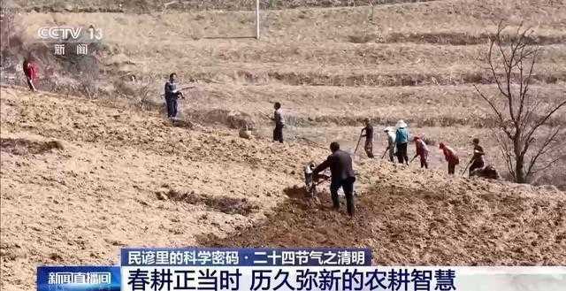 从「清」字溯源到数据验证:清明农谚的科学底层逻辑 文化旅游