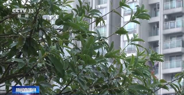 从「清」字溯源到数据验证:清明农谚的科学底层逻辑 文化旅游