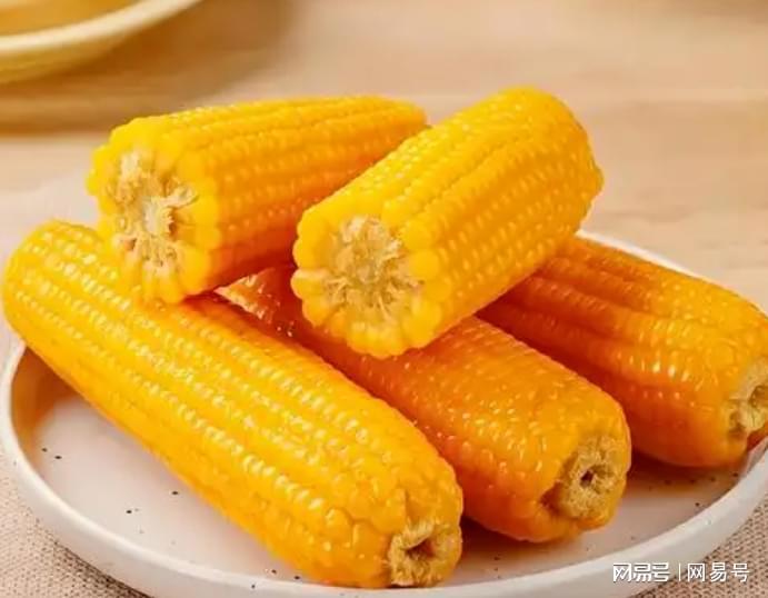  【技术解码】玉米产量登顶却难登饭桌：一场关于营养效率与产业定位的深度拆解 健康养生 【技术解码】玉米产量登顶却难登饭桌：一场关于营养效率与产业定位的深度拆解 健康养生