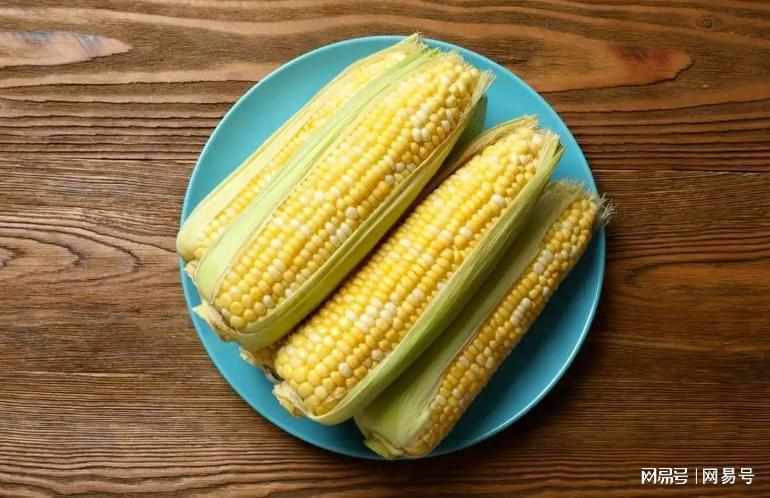  【技术解码】玉米产量登顶却难登饭桌：一场关于营养效率与产业定位的深度拆解 健康养生 【技术解码】玉米产量登顶却难登饭桌：一场关于营养效率与产业定位的深度拆解 健康养生