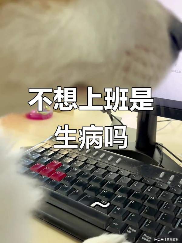 算法囚徒:互联网大厂的时间剥削与个体的系统性困境 企业服务 算法囚徒:互联网大厂的时间剥削与个体的系统性困境 企业服务