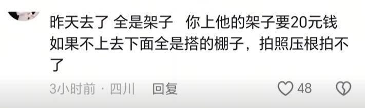  【深度】西昌蓝花楹商业化困局：一场关于公共空间与经济利益的博弈分析 文化旅游 【深度】西昌蓝花楹商业化困局：一场关于公共空间与经济利益的博弈分析 文化旅游