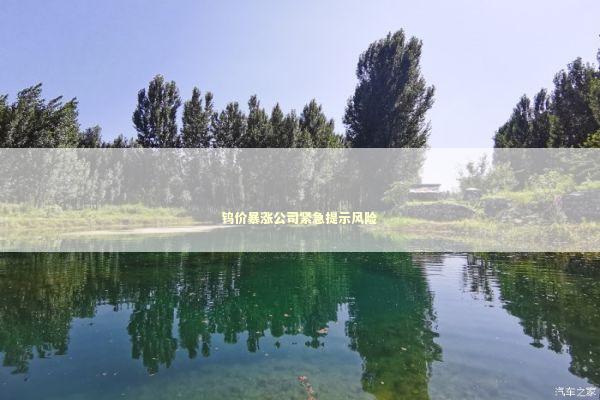 钨价暴涨公司紧急提示风险 新闻