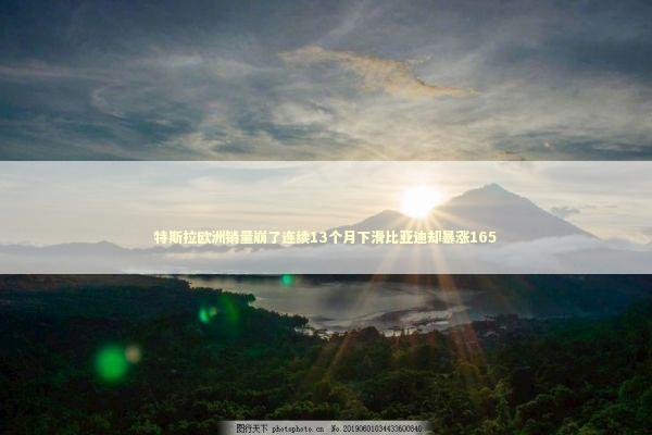 特斯拉欧洲销量崩了连续13个月下滑比亚迪却暴涨165
