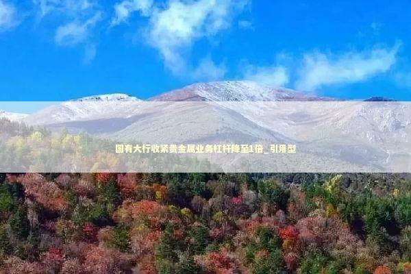 国有大行收紧贵金属业务杠杆降至1倍_引用型