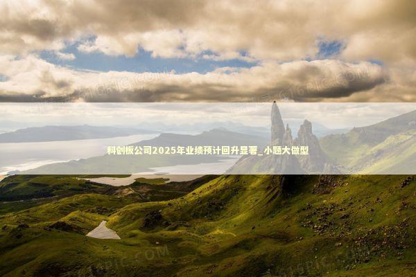 科创板公司2025年业绩预计回升显著_小题大做型