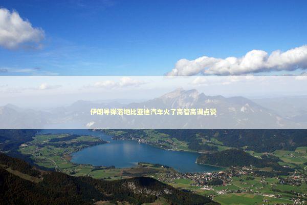 伊朗导弹落地比亚迪汽车火了高管高调点赞