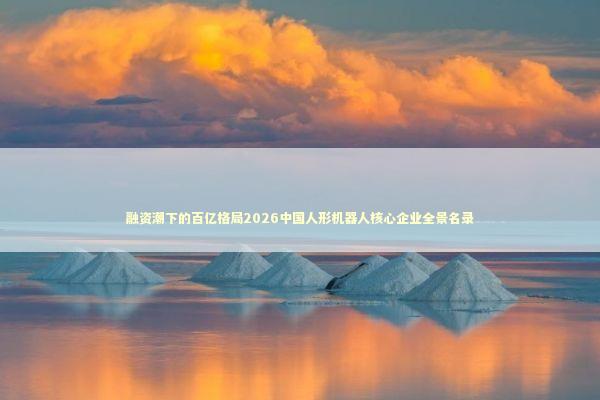 融资潮下的百亿格局2026中国人形机器人核心企业全景名录