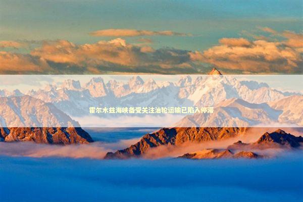 霍尔木兹海峡备受关注油轮运输已陷入停滞