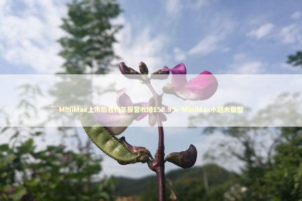 MiniMax上市后首份年报营收增158.9%-MiniMax小题大做型