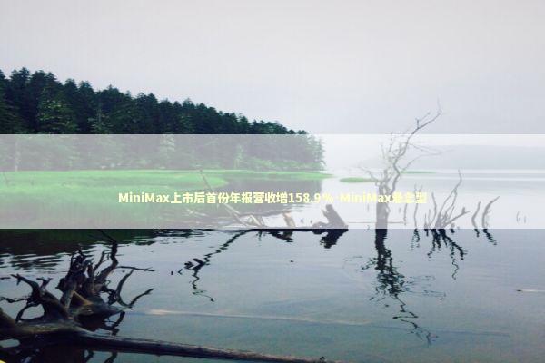 MiniMax上市后首份年报营收增158.9%-MiniMax悬念型