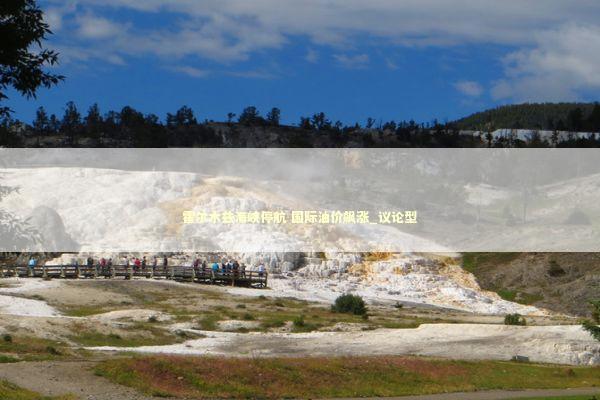霍尔木兹海峡停航 国际油价飙涨_议论型