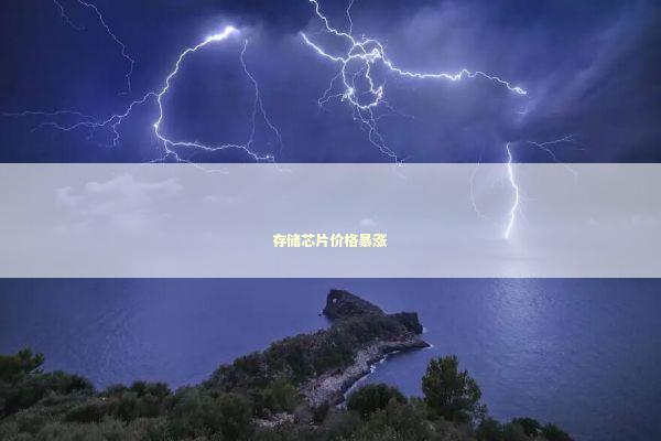 存储芯片价格暴涨