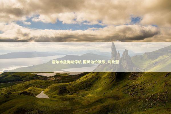 霍尔木兹海峡停航 国际油价飙涨_对比型