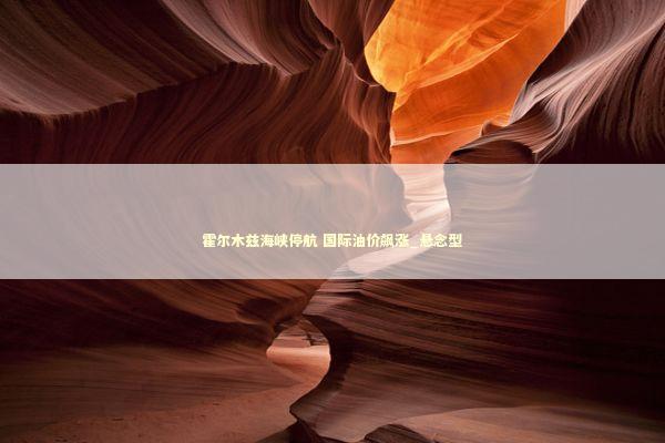 霍尔木兹海峡停航 国际油价飙涨_悬念型