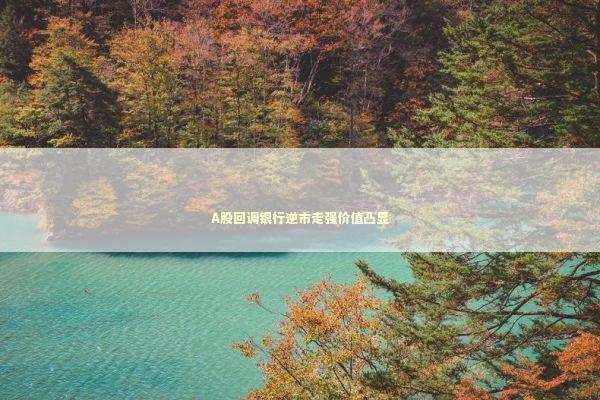 A股回调银行逆市走强价值凸显