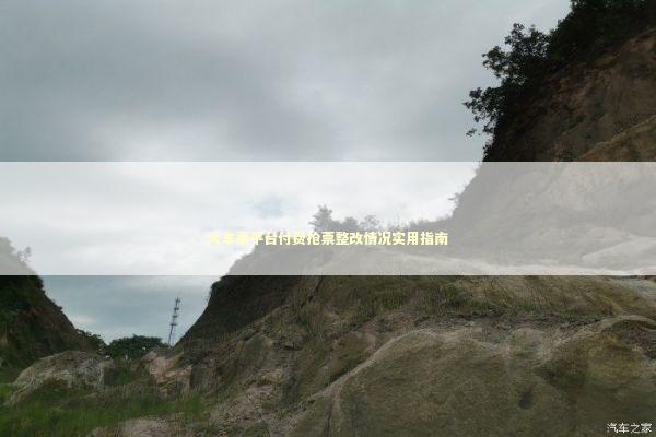 火车票平台付费抢票整改情况实用指南