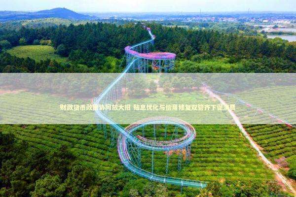 财政货币政策协同放大招 贴息优化与信用修复双管齐下促消费