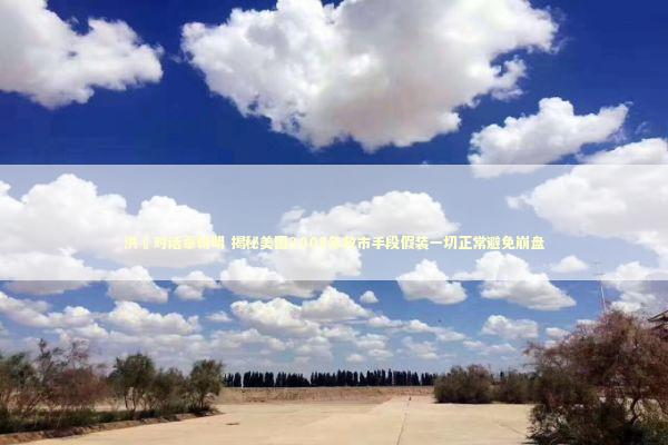 洪灝对话辜朝明 揭秘美国2008年救市手段假装一切正常避免崩盘