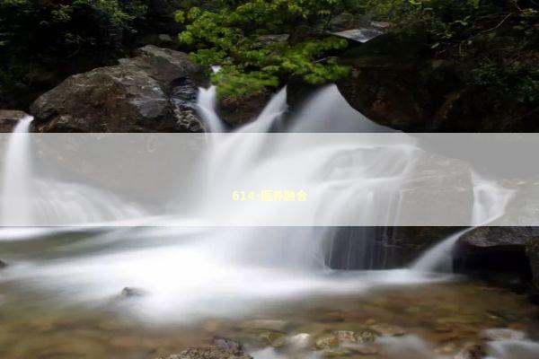 614-医养融合