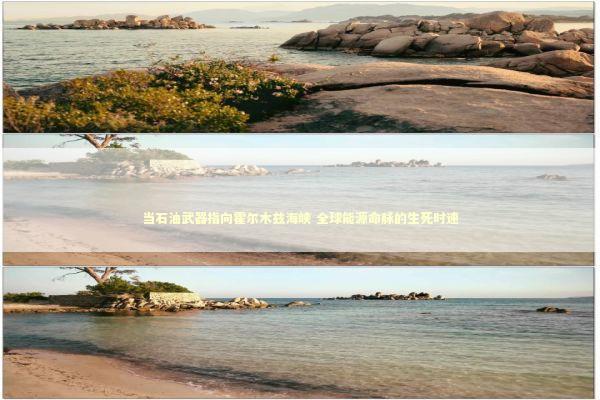 当石油武器指向霍尔木兹海峡 全球能源命脉的生死时速