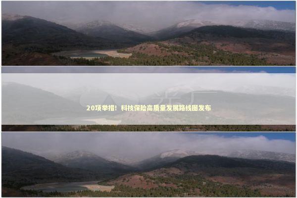 20项举措！科技保险高质量发展路线图发布