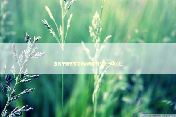 宣传干部该有怎样的政绩观引发市场关注