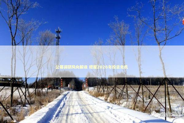公募调研风向解读 把握2026年投资先机
