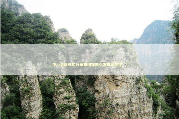 中小金融机构改革重组提速引发市场关注_7