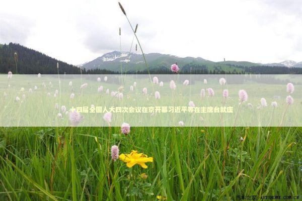 十四届全国人大四次会议在京开幕习近平等在主席台就座