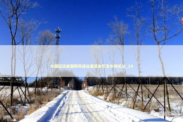 大疆起诉美国联邦通信委员会引发市场关注_10