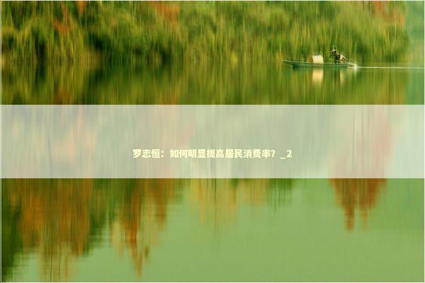 罗志恒：如何明显提高居民消费率？_2