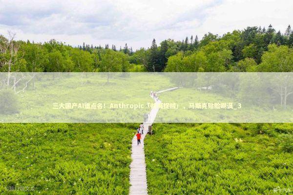三大国产AI遭点名！Anthropic「贼喊捉贼」，马斯克贴脸嘲讽_3