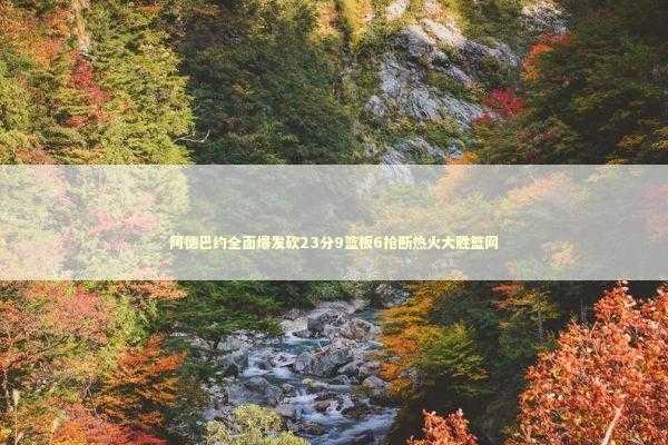 阿德巴约全面爆发砍23分9篮板6抢断热火大胜篮网