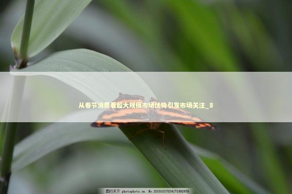 从春节消费看超大规模市场优势引发市场关注_8