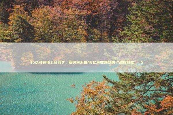 15亿可转债上会前夕，解码玉禾田46亿应收账款的“政府账本”_5