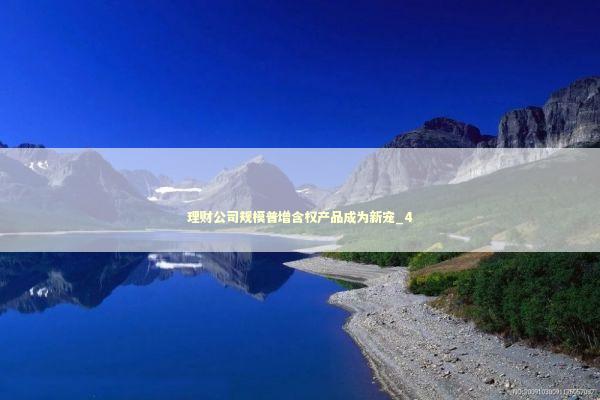 理财公司规模普增含权产品成为新宠_4