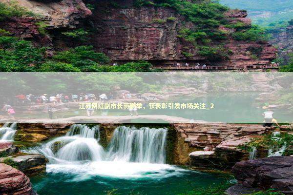 江苏网红副市长蒋鹏举，获表彰引发市场关注_2