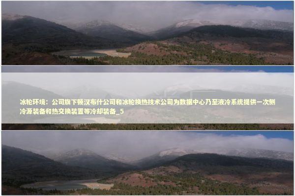 冰轮环境：公司旗下顿汉布什公司和冰轮换热技术公司为数据中心乃至液冷系统提供一次侧冷源装备和热交换装置等冷却装备_5