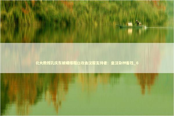 北大教授孔庆东被曝爆粗口攻击汉服支持者：皇汉杂种畜牲_6