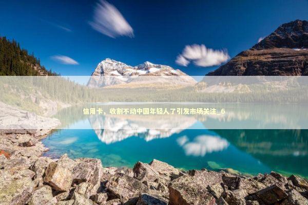 信用卡，收割不动中国年轻人了引发市场关注_6