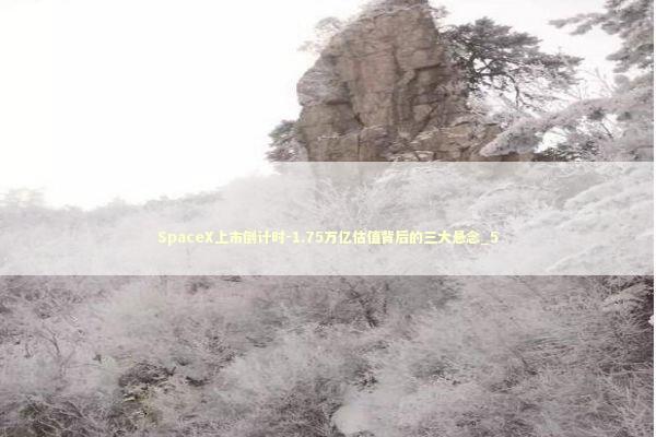 SpaceX上市倒计时-1.75万亿估值背后的三大悬念_5