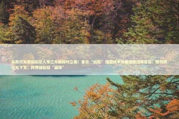 从股价大涨到实控人等三方被同时立案！昔日“妖股”捷荣技术涉嫌信披违规背后：股权转让无下文，跨界储能疑“画饼”