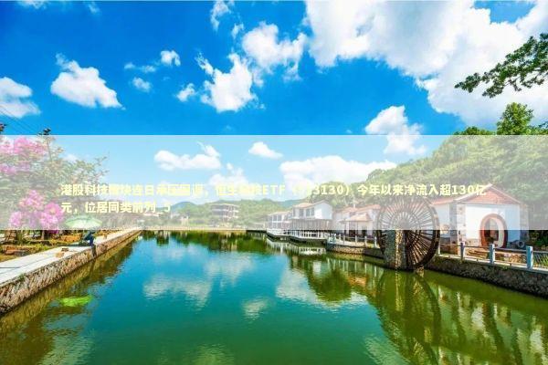港股科技板块连日承压回调，恒生科技ETF（513130）今年以来净流入超130亿元，位居同类前列_5