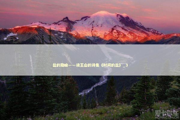 盐的隐喻——读王山的诗集《时间的盐》_3