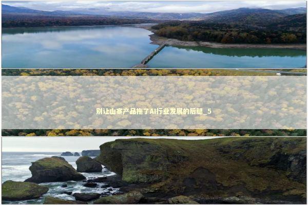 别让山寨产品拖了AI行业发展的后腿_5